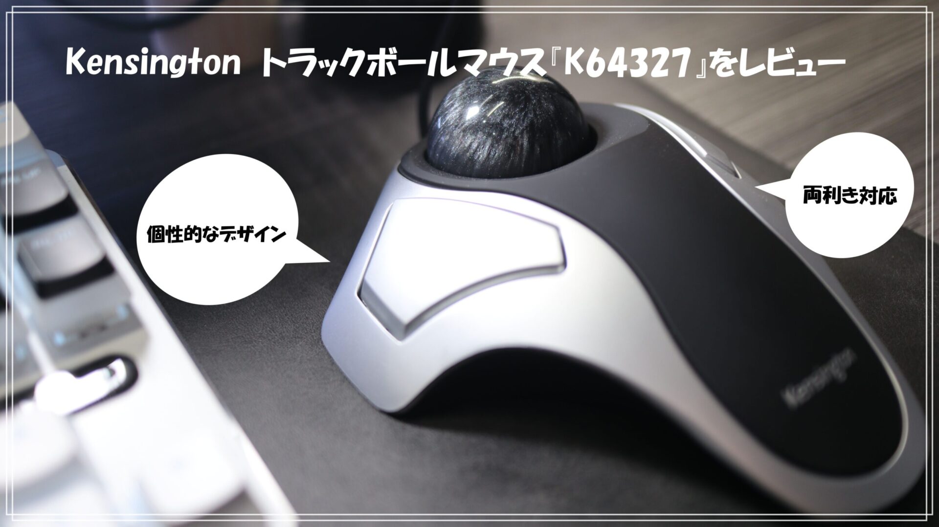 特になし IMG_2354-scaled.jpg